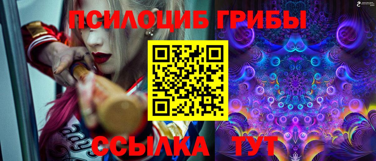 Псилоцибиновые грибы Psilocybe  Псилоцибиновые грибы прущие грибы  Вход с VPN  Кизляр 
